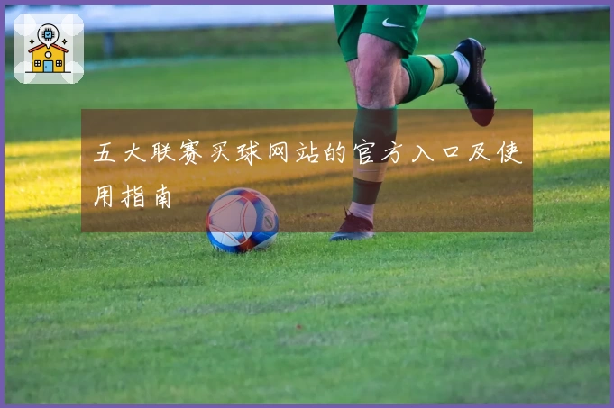 五大联赛买球网站的官方入口及使用指南