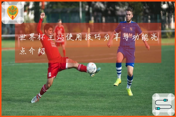 世界杯主站使用技巧分享与功能亮点介绍