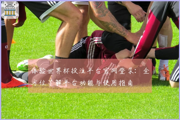 体验世界杯投注平台官网登录：全方位了解平台功能与使用指南