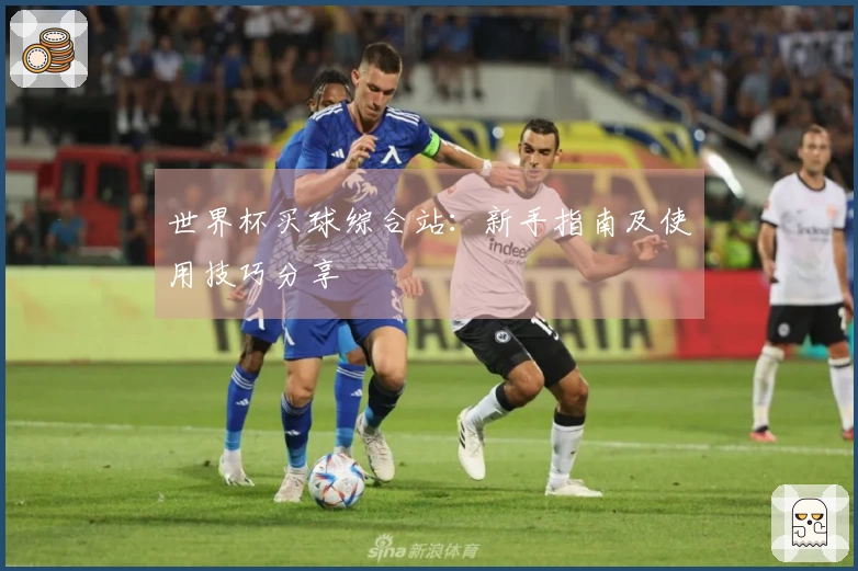 世界杯买球综合站：新手指南及使用技巧分享