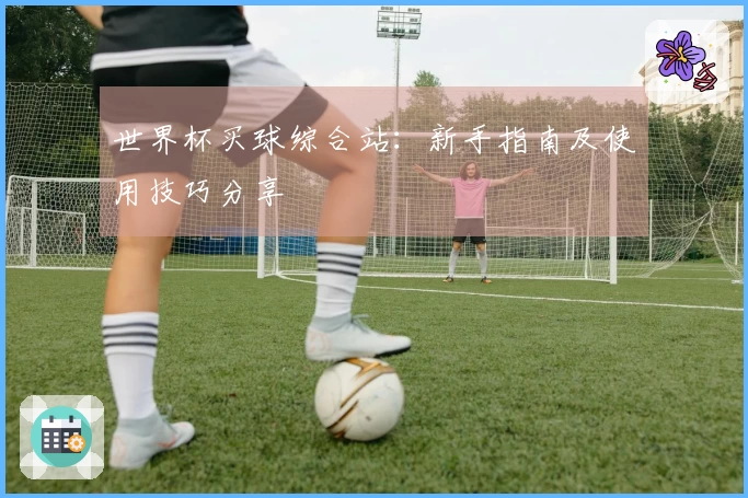 世界杯买球综合站：新手指南及使用技巧分享