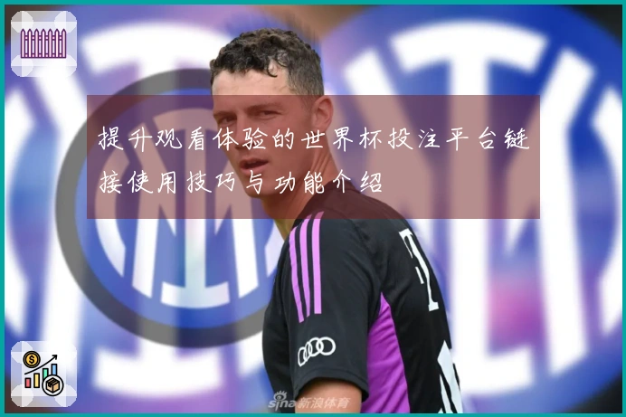 提升观看体验的世界杯投注平台链接使用技巧与功能介绍
