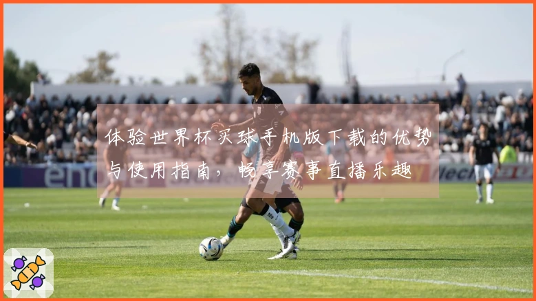 体验世界杯买球手机版下载的优势与使用指南，畅享赛事直播乐趣