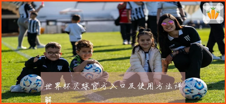 世界杯买球官方入口及使用方法详解