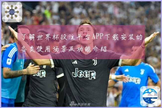 了解世界杯投注平台APP下载安装的各类使用场景及功能介绍