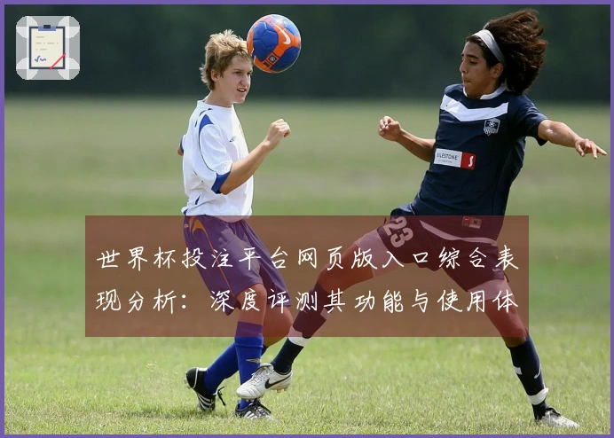 世界杯投注平台网页版入口综合表现分析：深度评测其功能与使用体验