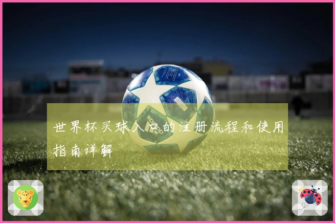 世界杯买球入口的注册流程和使用指南详解