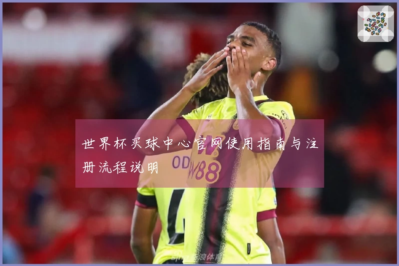 世界杯买球中心官网使用指南与注册流程说明