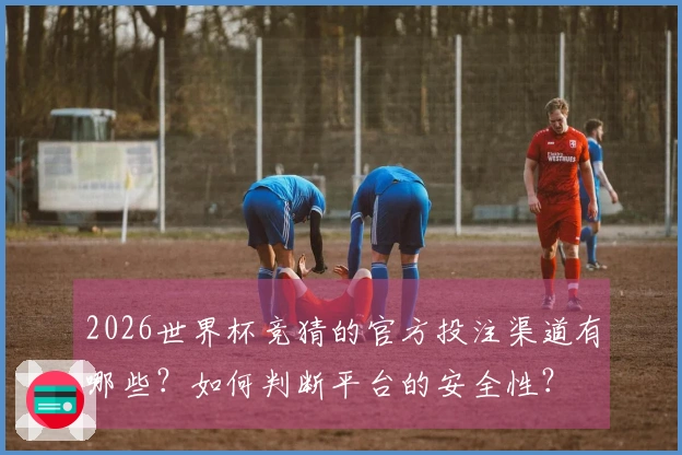 2026世界杯竞猜的官方投注渠道有哪些？如何判断平台的安全性？