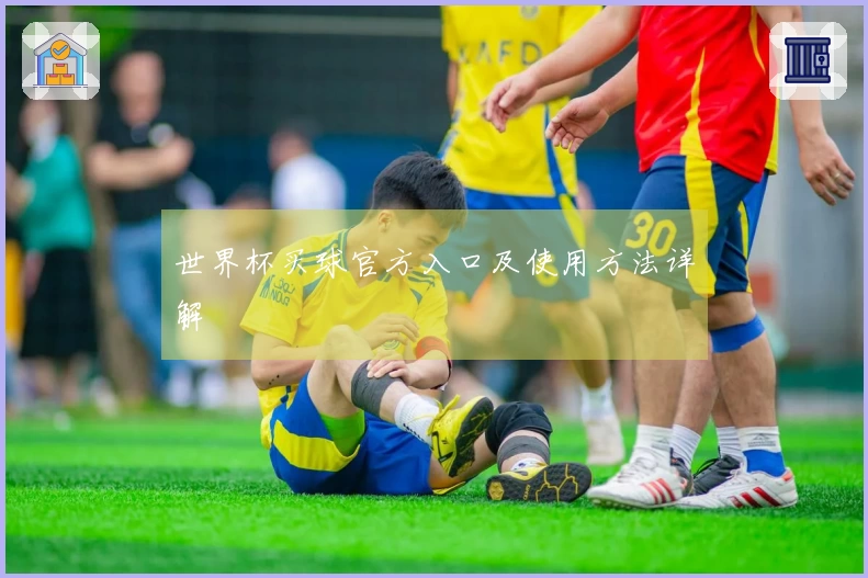 世界杯买球官方入口及使用方法详解