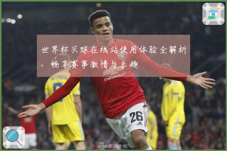 世界杯买球在线站使用体验全解析，畅享赛事激情与乐趣