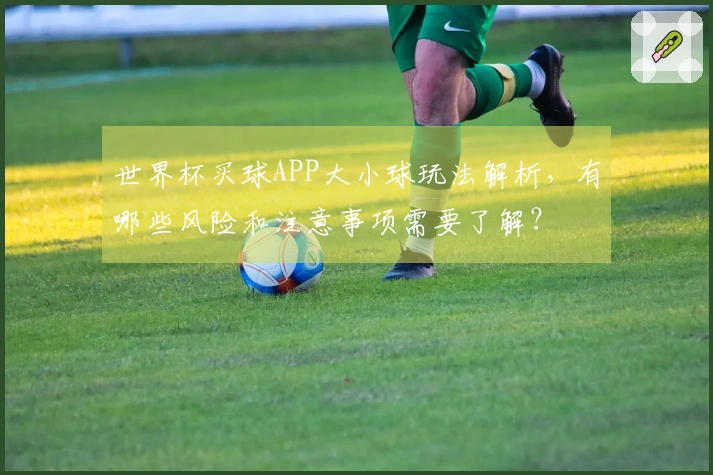 世界杯买球APP大小球玩法解析,有哪些风险和注意事项需要了解?