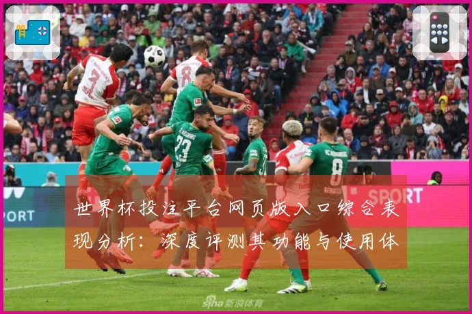 世界杯投注平台网页版入口综合表现分析：深度评测其功能与使用体验